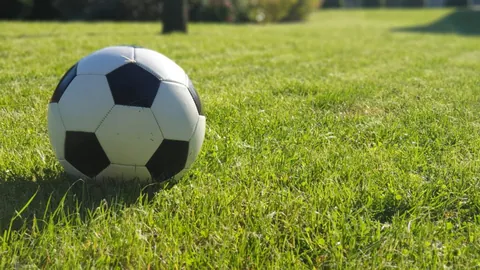 布馮續約未定，或加盟帕爾馬而非退役